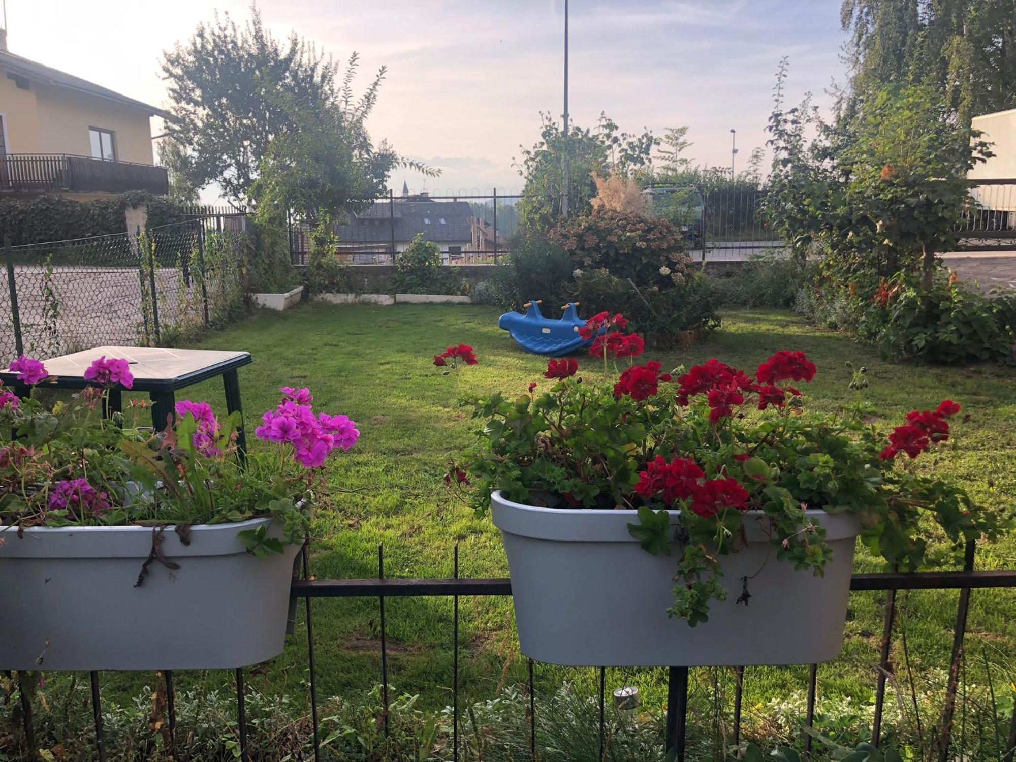 Appartamento Luminoso, Giardino, Vista Dolomiti. バゼルガ・ディ・ピネ エクステリア 写真